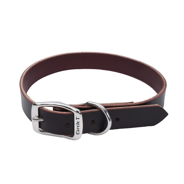 Circle T Latigo Leather Town Dog Collar Flat 1" 24"